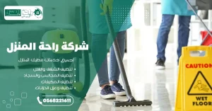 شركة تنظيف منازل بابها